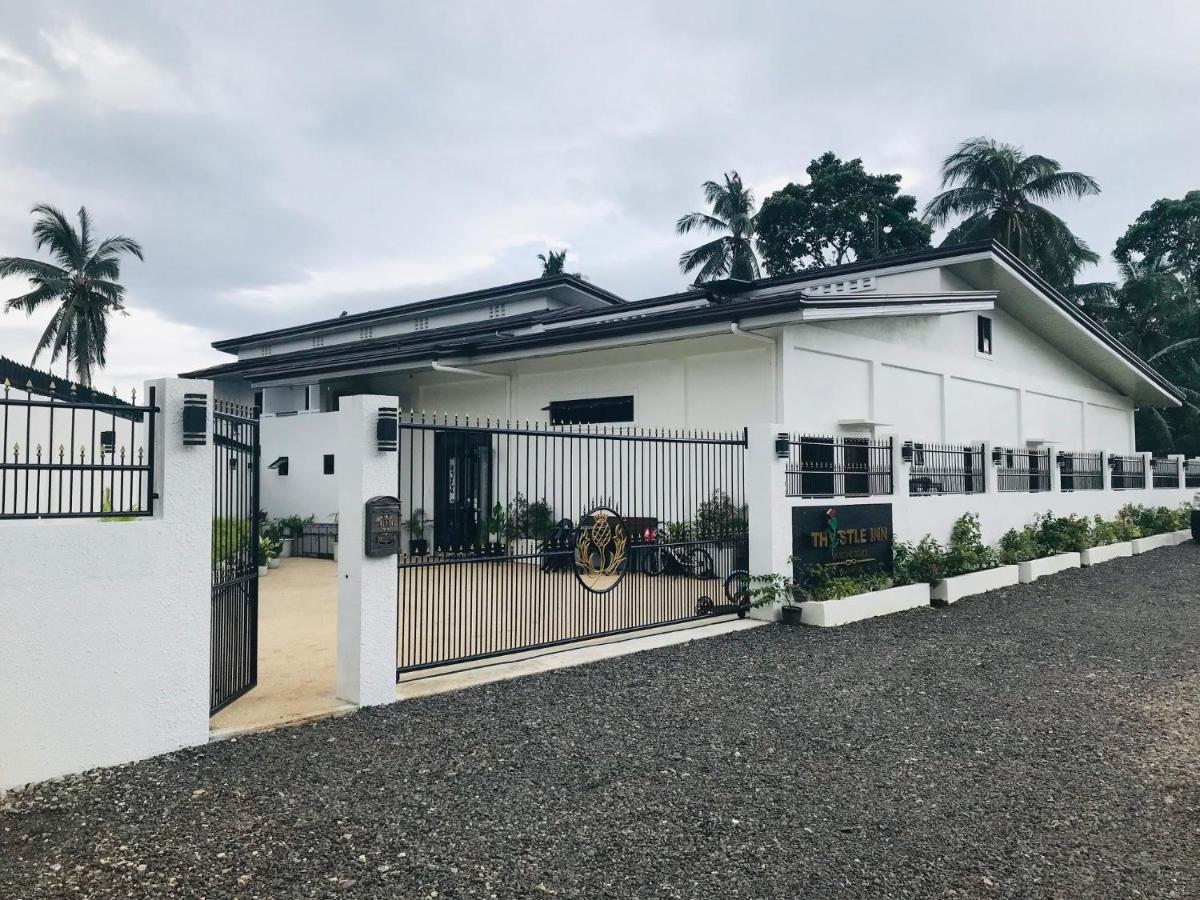 Thistle Inn Panglao Exterior foto